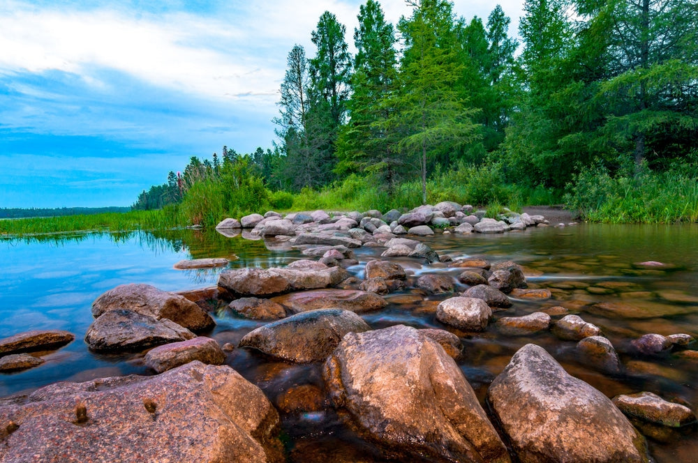 Celebrating the 50th Birthday of Earth Day