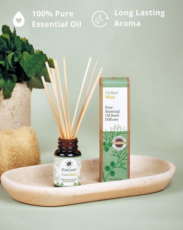 Cedar Mint Reed Diffuser 1oz