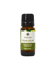 Cedar Atlas Essential Oil