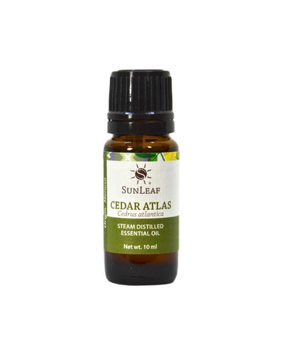 Cedar Atlas Essential Oil