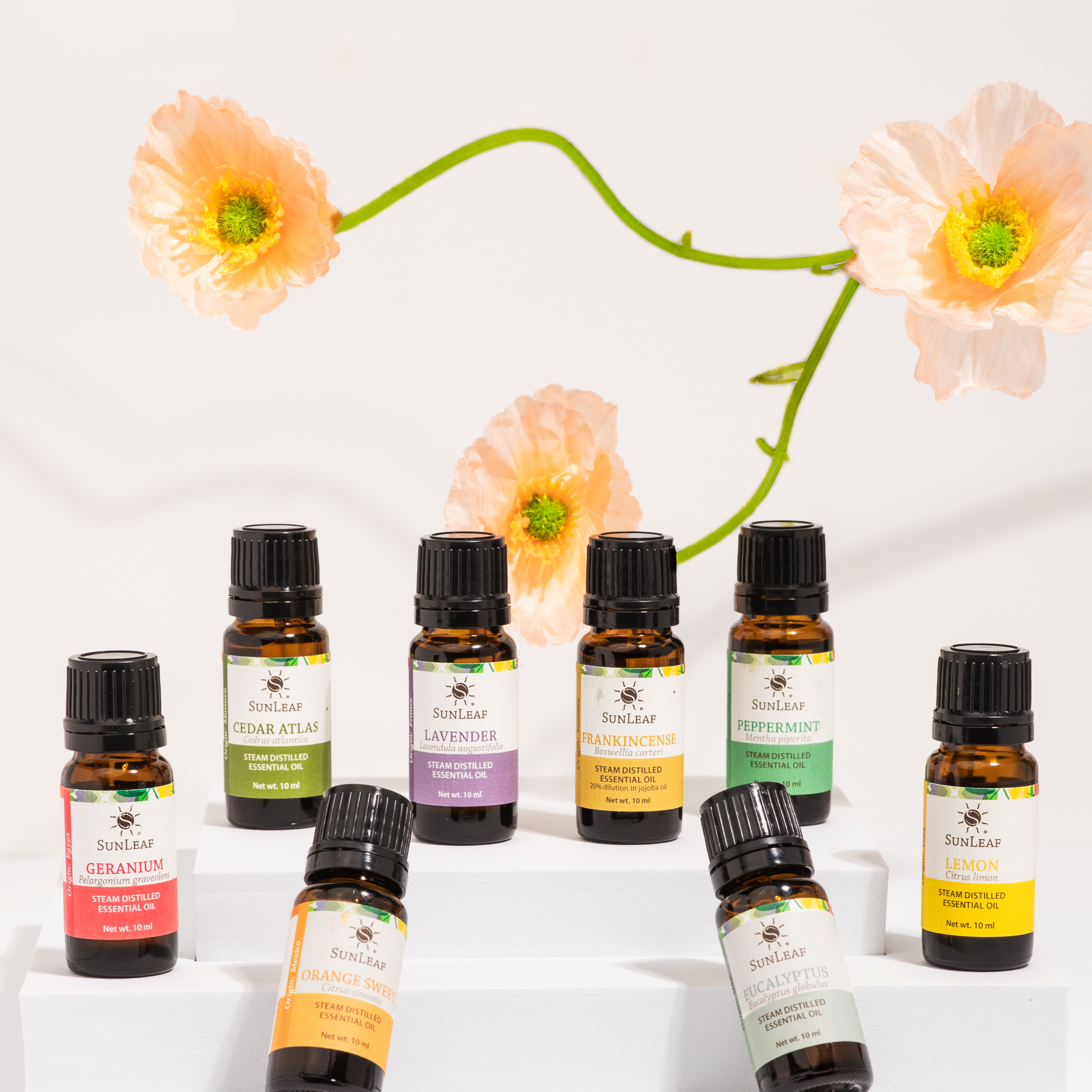 Essential Oil Single-Notes